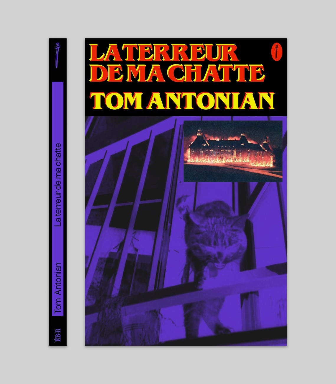 La terreur de ma chatte